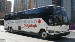Greyhound es la principal línea de buses