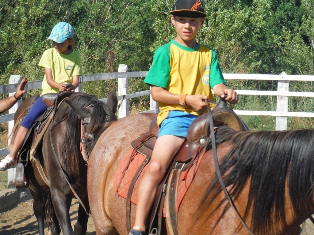 Alergias a los animales en los campamentos