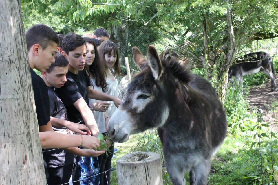 Actividades campamento de verano