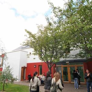 Emerald Cultural Institute