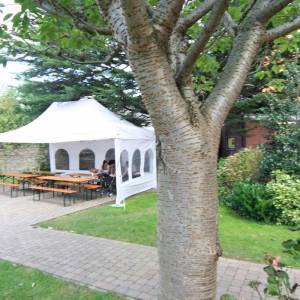 Emerald Cultural Institute