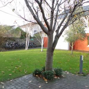 Emerald ECI Dublin Palmerston