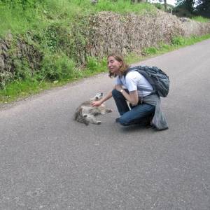 Active Centre of English Training - academia de adultos