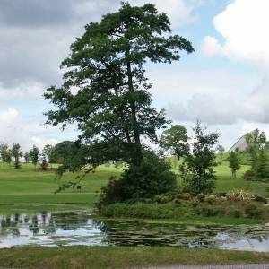 Active Centre of English Training - academia de adultos