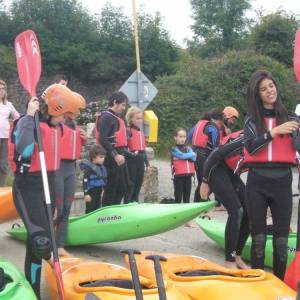 cursos y actividades wexford