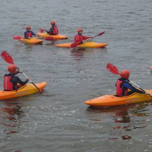 cursos y actividades wexford