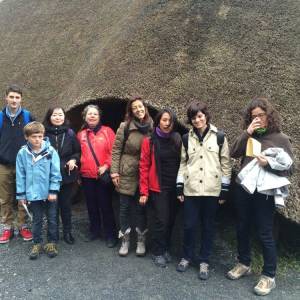 cursos y actividades wexford