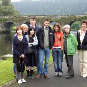 cursos y actividades wexford