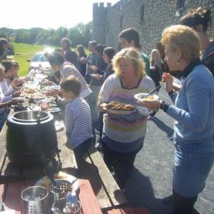 cursos y actividades wexford