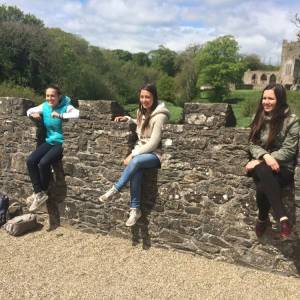 cursos y actividades wexford