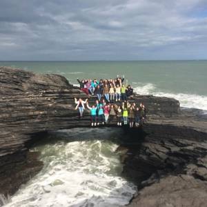 cursos y actividades wexford