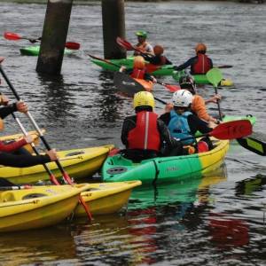 cursos y actividades wexford