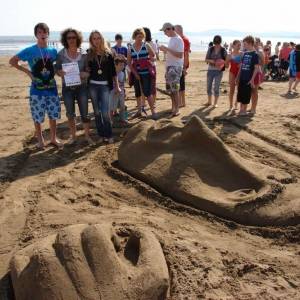 cursos y actividades wexford
