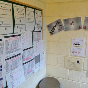 Slaney Language Center 2015
