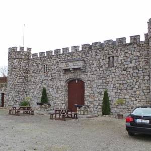 Slaney Language Center 2015