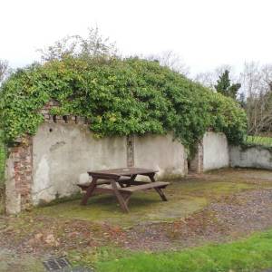Slaney Language Center 2015