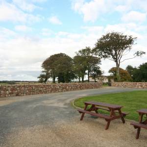 cursos en wexford historico
