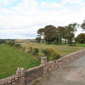 cursos en wexford historico