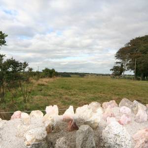 cursos en wexford historico