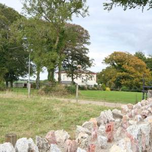 cursos en wexford historico