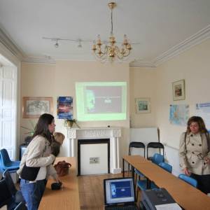 Pace Language Institute