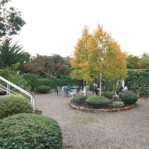 Pace Language Institute
