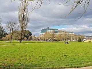 Colegios irlandeses - De La Salle College - Waterford