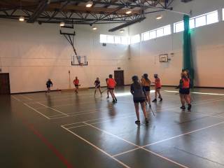 Colegios irlandeses - St Mary's Secondary School - Nenagh