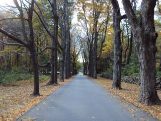 Marianapolis Preparatory School