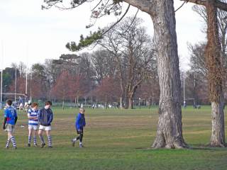 Blackrock College - Internado Dublín