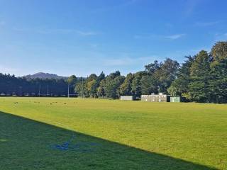 Woodbrook College - Bray