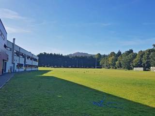 Woodbrook College - Bray