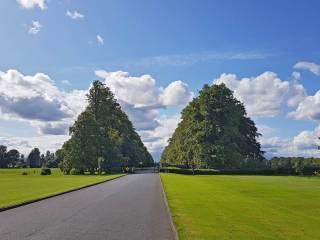 Clongowes Wood College - Internado de chicos