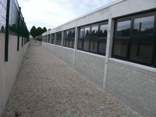 St.Brendan's Community School - Birr